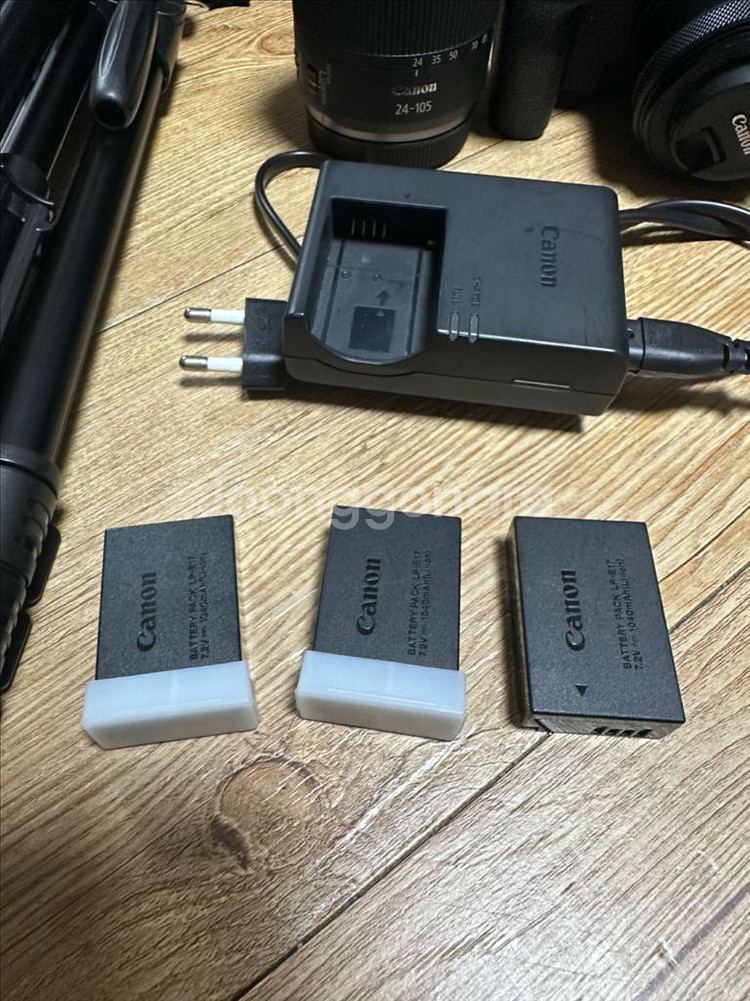 캐논 EOS R8--1