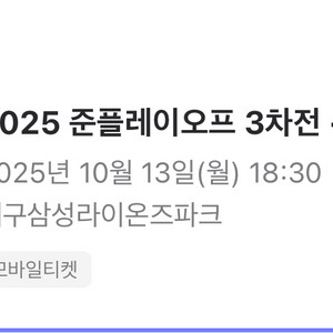 준플레이오프 3차전 1루 스카이지정석 2연석