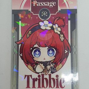 트리비 포토카드 호요랜드 붕괴 스타레일 붕스 포카