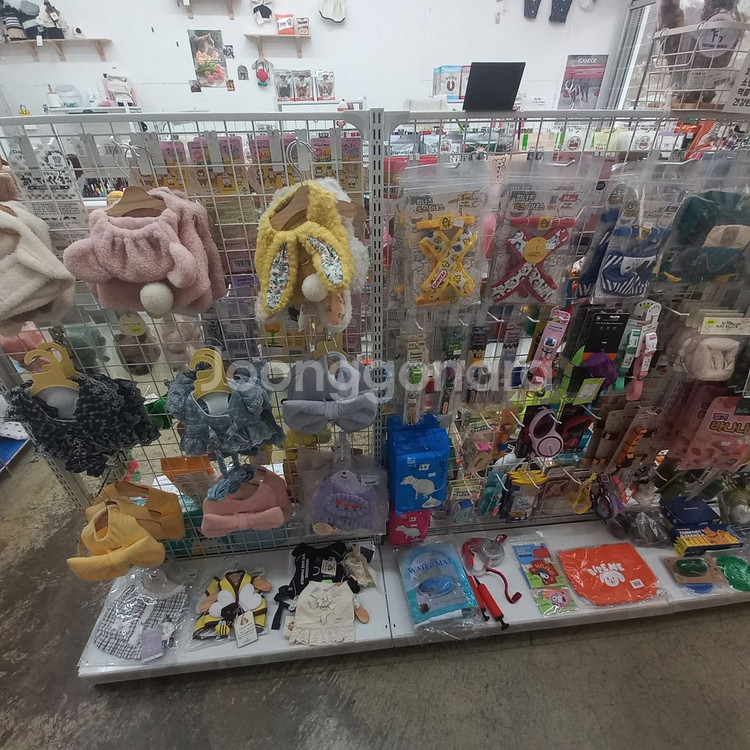 애견용품 폐업 하네스 처분--0