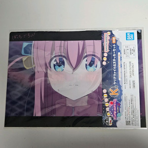 봇치더락 히토리 파일 이치방쿠지 이미지