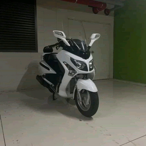 보이져300