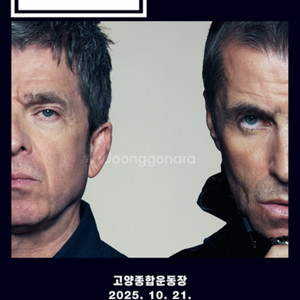 오아시스 콘서트 스탠딩 B 구역 11xxx 단석