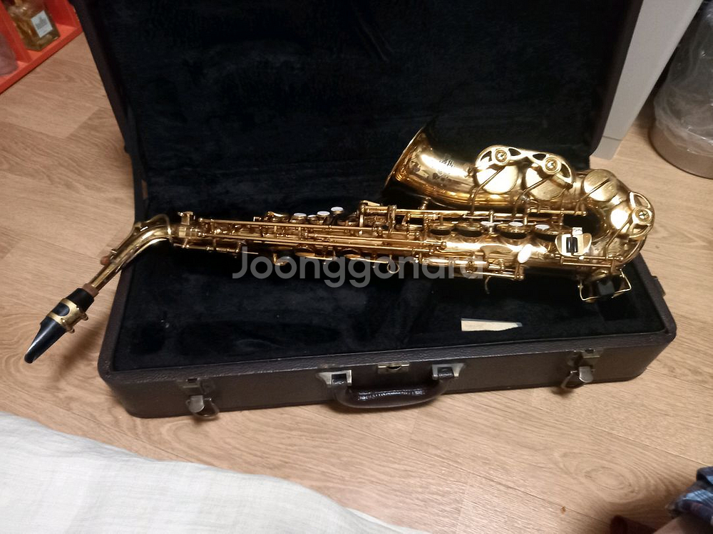 알버트앨토 색소폰--0