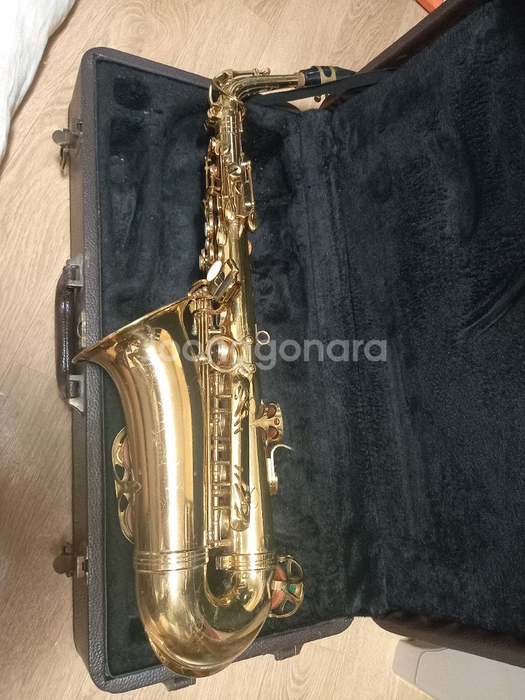 알버트앨토 색소폰--2