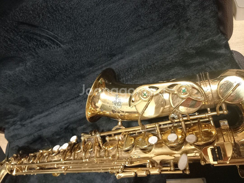 알버트앨토 색소폰--1