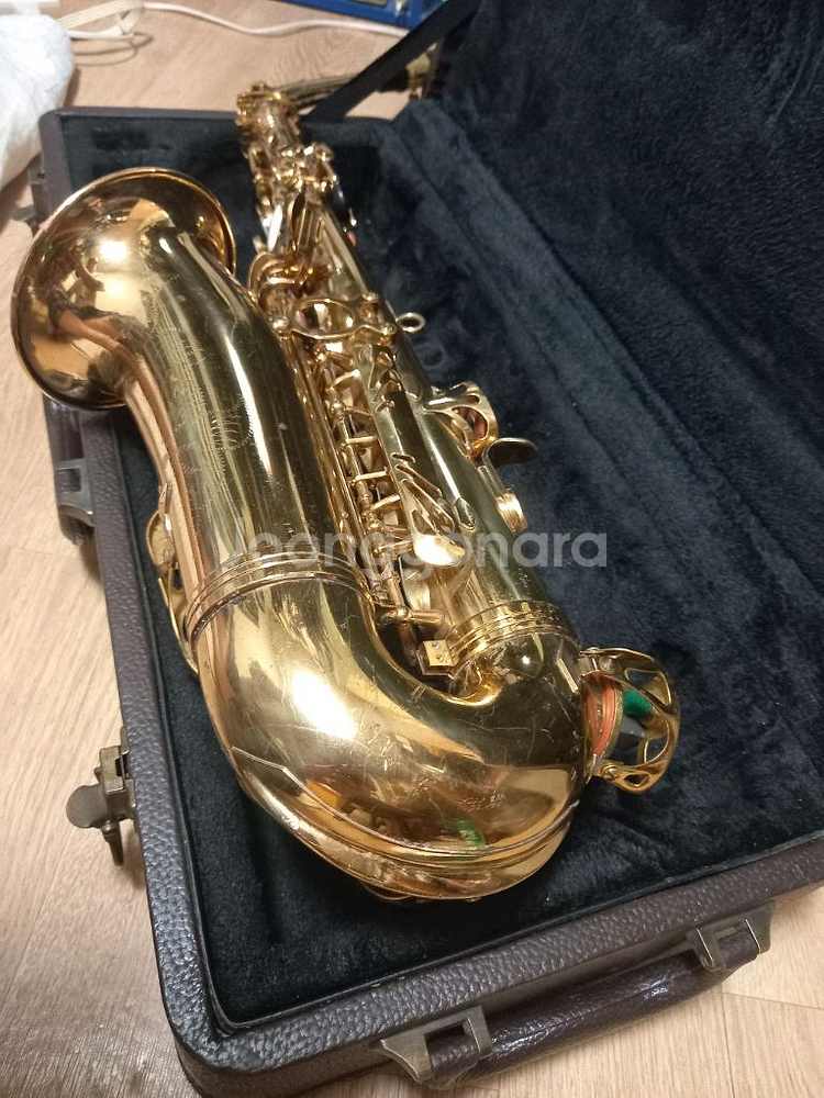 알버트앨토 색소폰--3