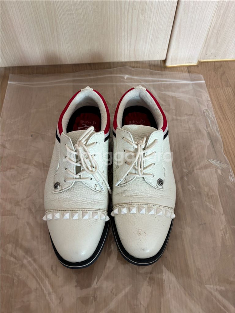 지포어 스터디여성골프화--0