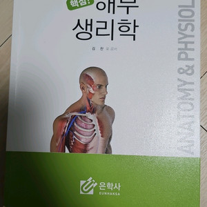 해부생리학