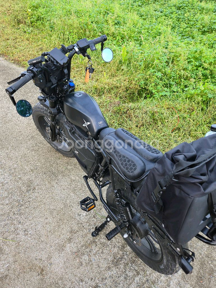 엑스라이더x200pro 55ah--1