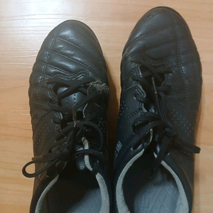 데피니브 Bs one 255 이미지