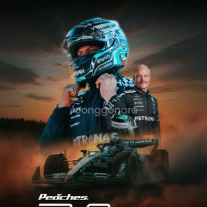 F1 쇼런 티켓 구매합니다