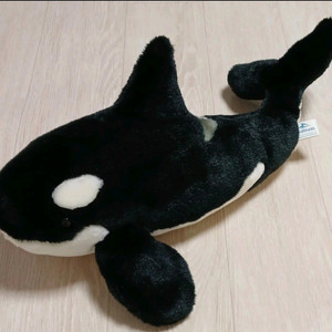 씨월드 Seaworld 범고래 인형