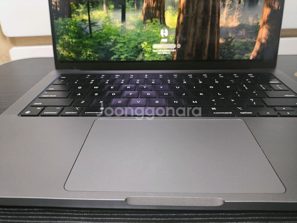 급처 맥북 m2 pro 14인치 팝니다 10코어16코어--4