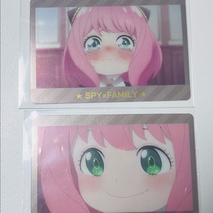 스파패 아냐 메탈카드 일괄