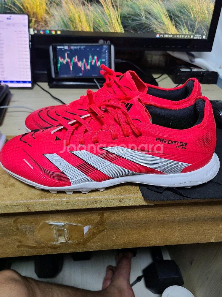 아디다스 풋살화 프레데터 프로tf 275--2