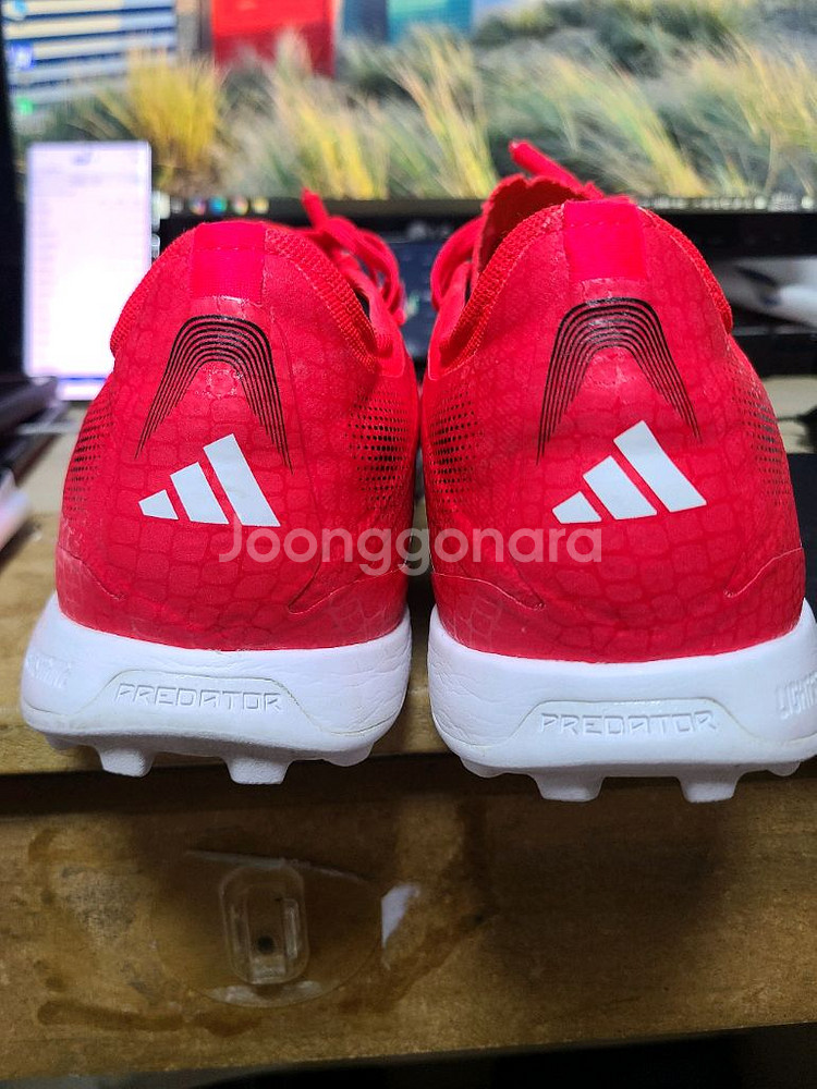 아디다스 풋살화 프레데터 프로tf 275--3