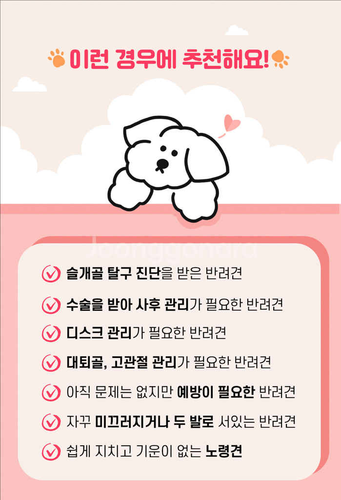 강아지 슬개골 디스크 레이저, 시리어스펫 따땃패드--2