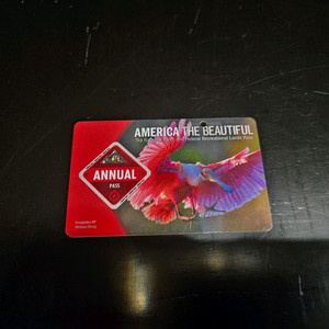 미국 애뉴얼패스(2026년 5월까지)