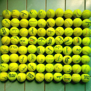 테니스공 중고 팝니다