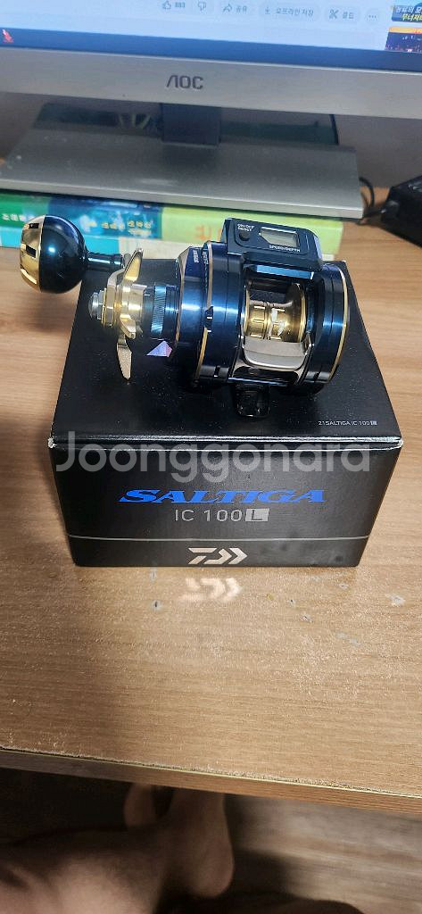 솔티가 ic 100L--0