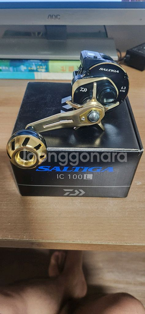 솔티가 ic 100L--3