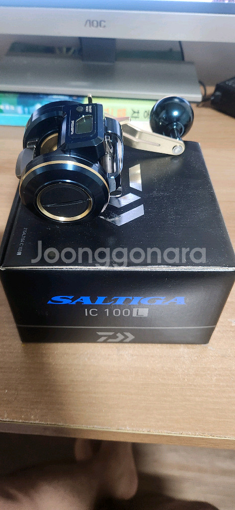 솔티가 ic 100L--1