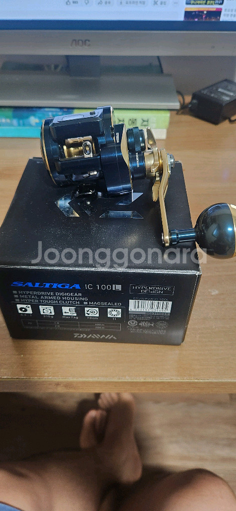 솔티가 ic 100L--2