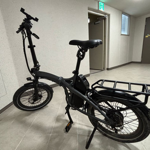 퀄리 엑스트론 프로