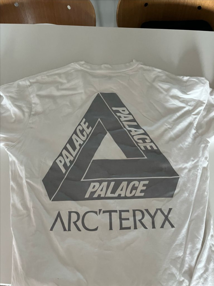 팔라스 아크테릭스 티셔츠 이미지