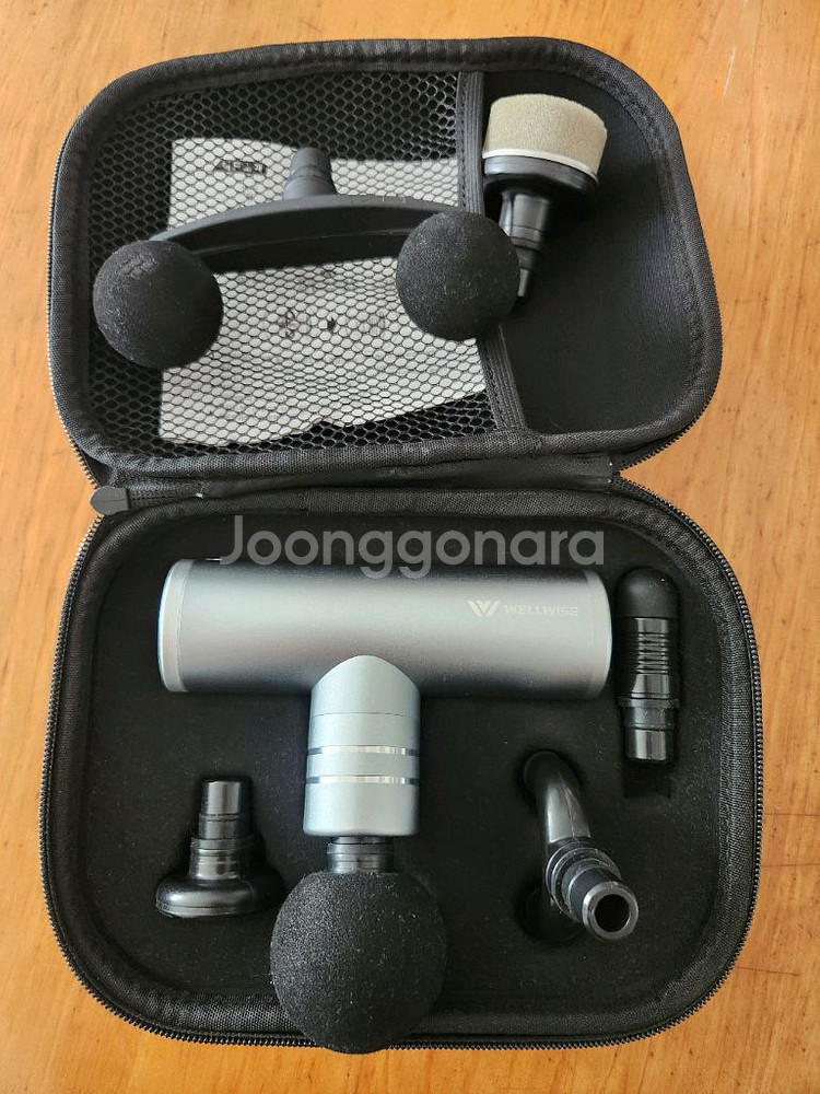 웰와이즈 마사지건 wrg-6300--0