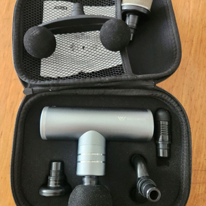 웰와이즈 마사지건 wrg-6300