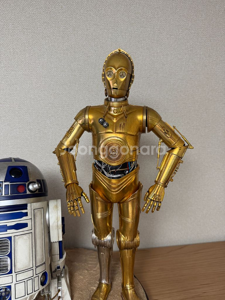 [할인] 사이드쇼 스타워즈 3-CPO & R2-D2--3