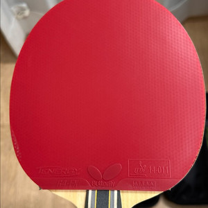 판젠동 슈퍼zlc fl 테너지64/05