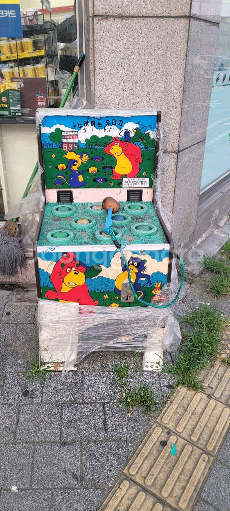 노래하는두더지게임기--1