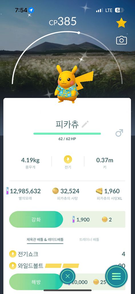 포켓몬고 제주 배경 로케 이로치 피카츄 판매--0