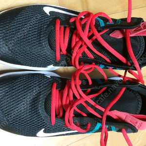 275호나이키농구화