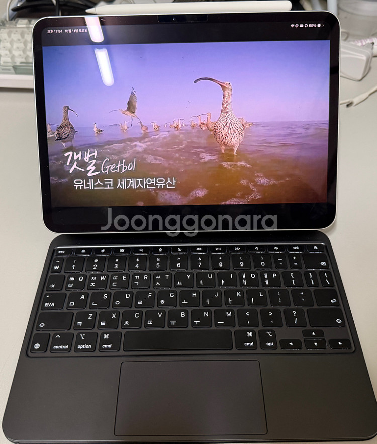 아이패드 프로 11 m4 애케플,매직키보드,애플펜슬프로--0