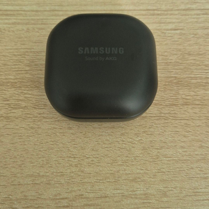 버즈 2 프로 본체