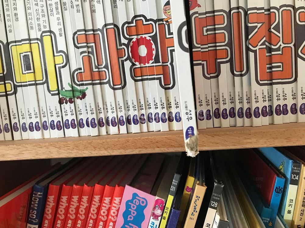 꼬마과학뒤집기--1