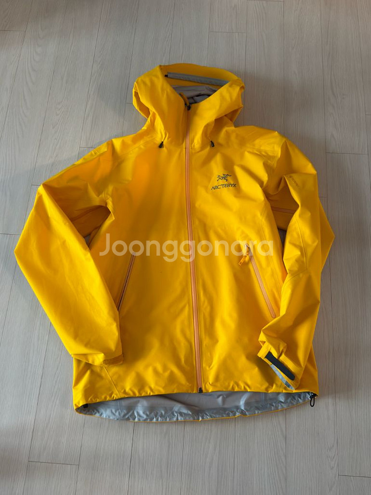 아크테릭스 베타 LT EDZIZA 남성 L 라지--0