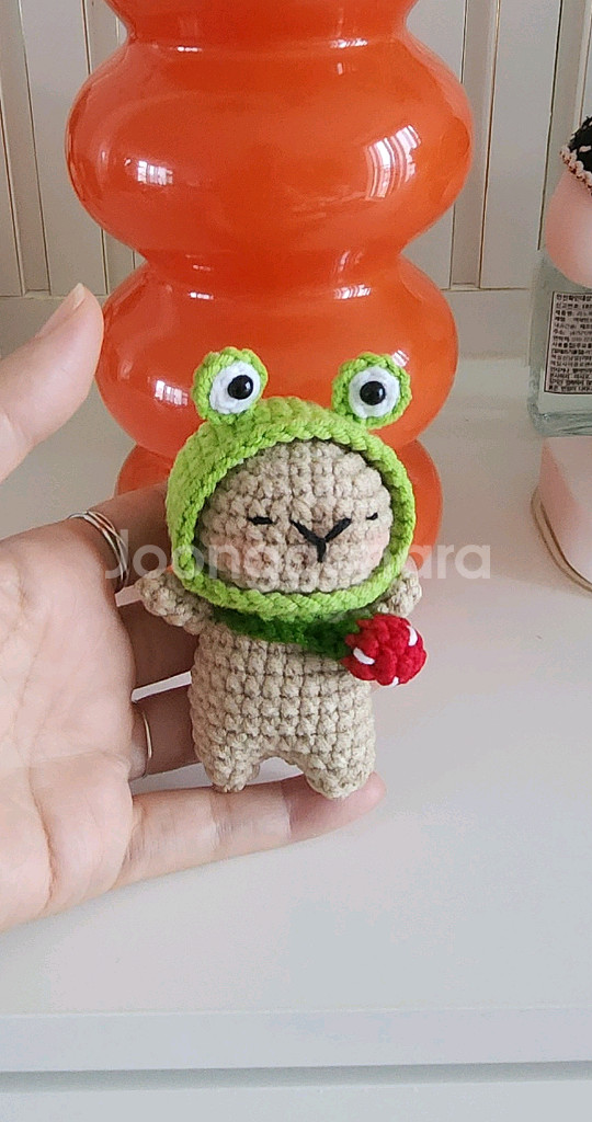 카피바라키링--1