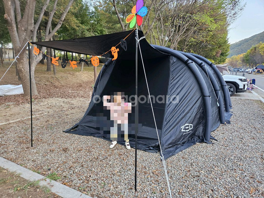 제드 티맥스 에어텐트 팝니다--1