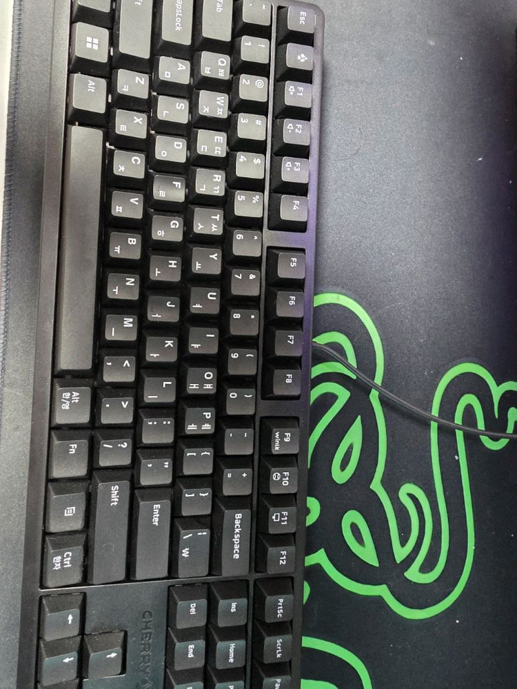 체리키보드 g80 3000s 텐키리스 갈축(풀박스) 이미지