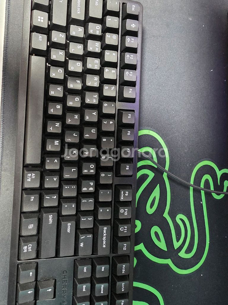 체리키보드 g80 3000s 텐키리스 갈축(풀박스)--0