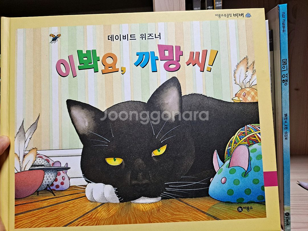 4~7세 단행본 모음 비룡소,앤서니브라운,받침없는동화--4