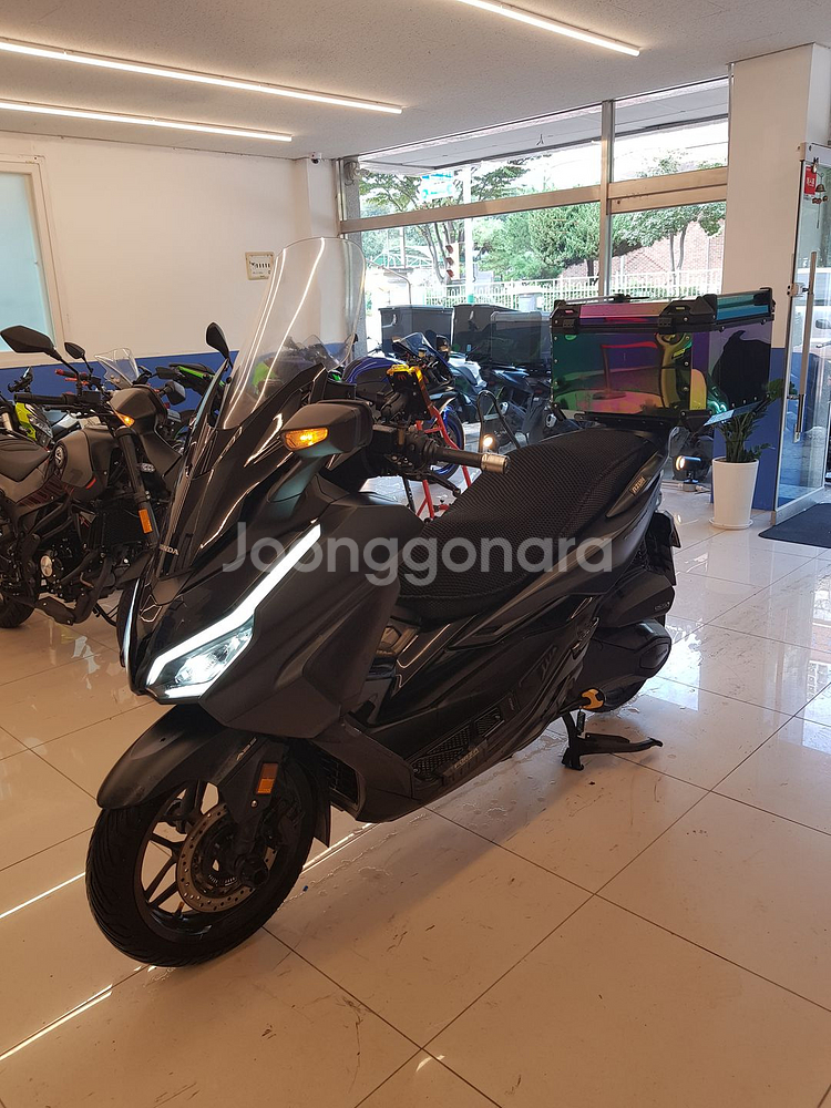 23년식 포르자350 상태 최상--1