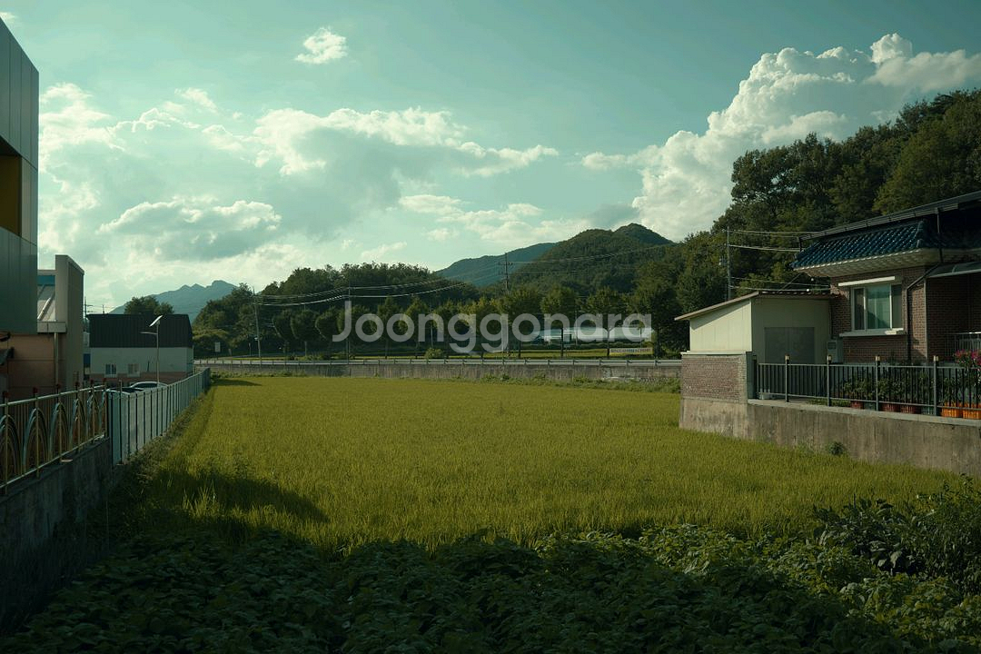 루믹스 S9 렌즈킷 택포 155 , 작례o--8