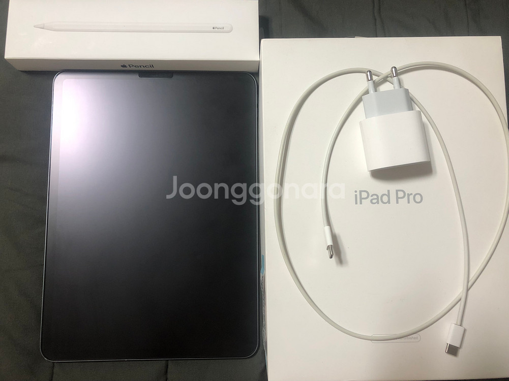 아이패드 프로 11인치 1세대 256GB--0