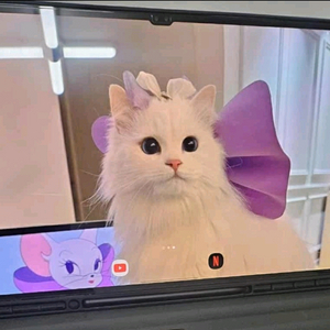 갤럭시 탭 s9 울트라 wifi+cellular